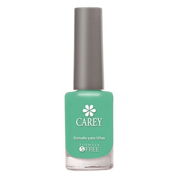 Imagen de CAREY - ESMALTE - KABUL N° 028