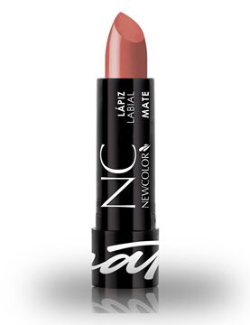 EWCOLOR - LAPIZ LABIAL MATE - 101 COCOA 