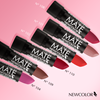 EWCOLOR - LAPIZ LABIAL MATE - 101 COCOA 