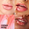 WET N WILD - 1116676 - LAB - LIP OIL - CEDAR ROSE