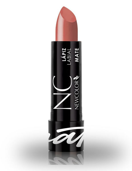 EWCOLOR - LAPIZ LABIAL MATE - 101 COCOA 