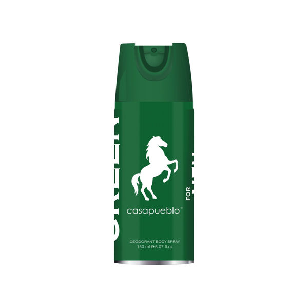 CASAPUEBLO - WILD - DEO SPRAY - 150 ML - HIM - GREEN