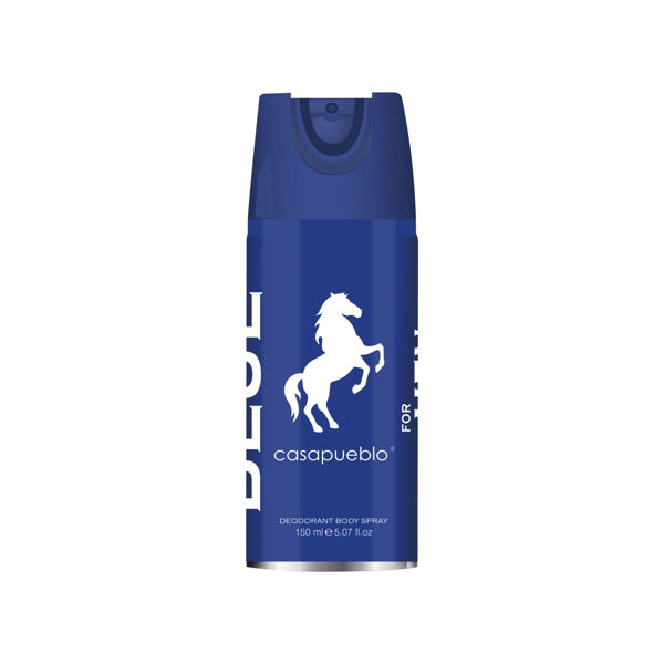 CASAPUEBLO - WILD - DEO SPRAY - 150 ML - HIM - BLUE