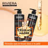 RIVIERA - CELULAS MADRE - SH - 1000 ML