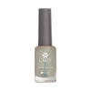 CAREY - ESMALTE - BRILLITOS VERDE Nº352