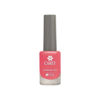 CAREY - ESMALTE - ROSA FLUO - Nº 58