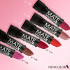 NEWCOLOR - LAPIZ LABIAL MATE - 109 BEIGE